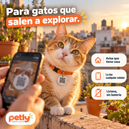 Chapita QR