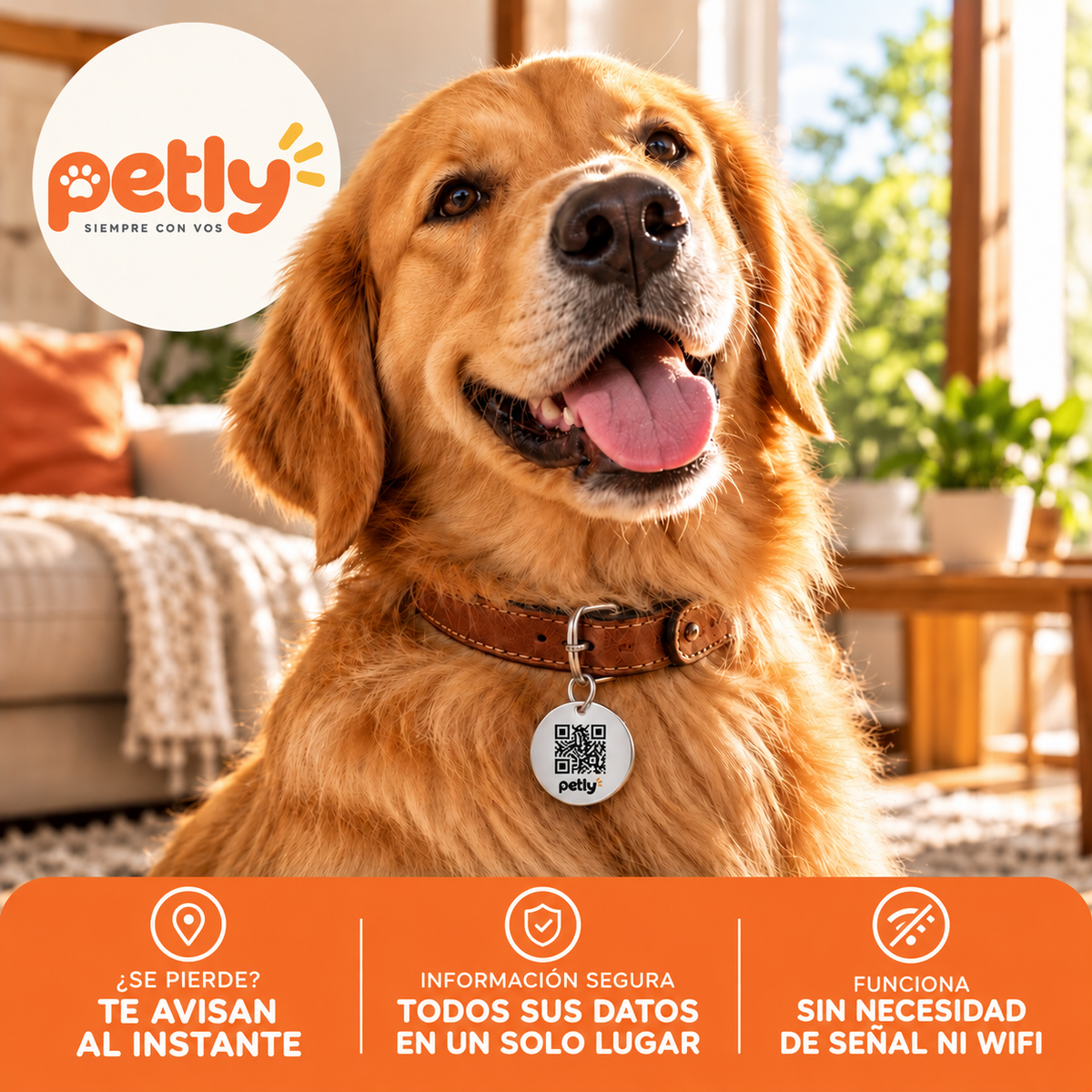 Chapita QR